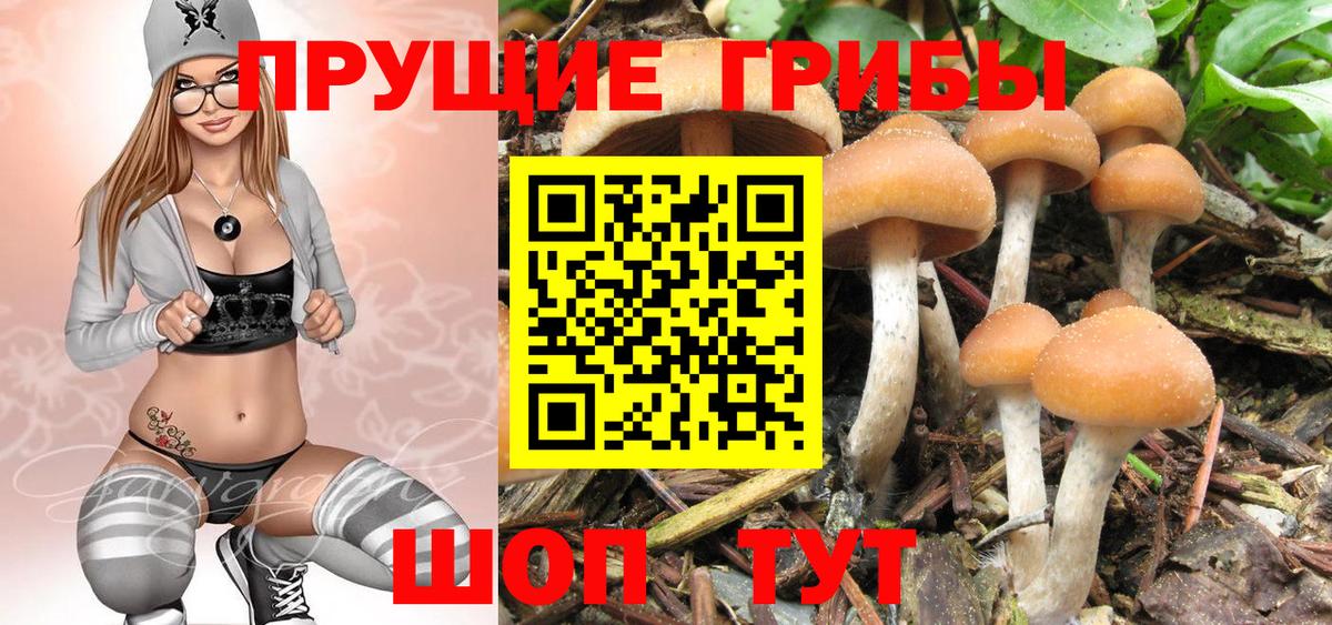 Псилоцибиновые грибы прущие грибы Трёхгорный