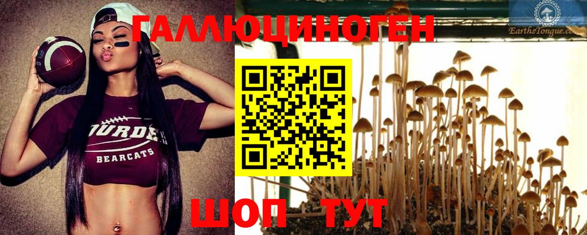 Галлюциногенные грибы Psilocybe  Вход с VPN  Трёхгорный  Галлюциногенные грибы Psilocybe 
